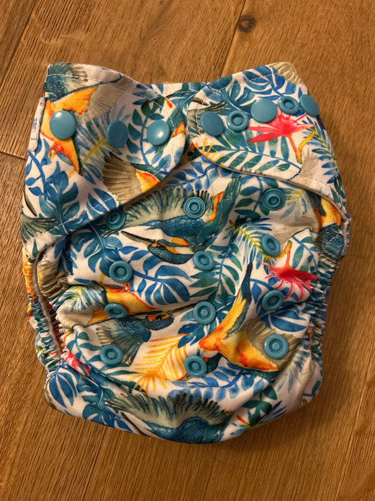 Baby Bare all in two nappy (098)