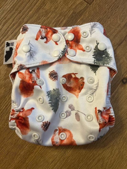 Bear Bott pocket nappy special edition squirrels (003)