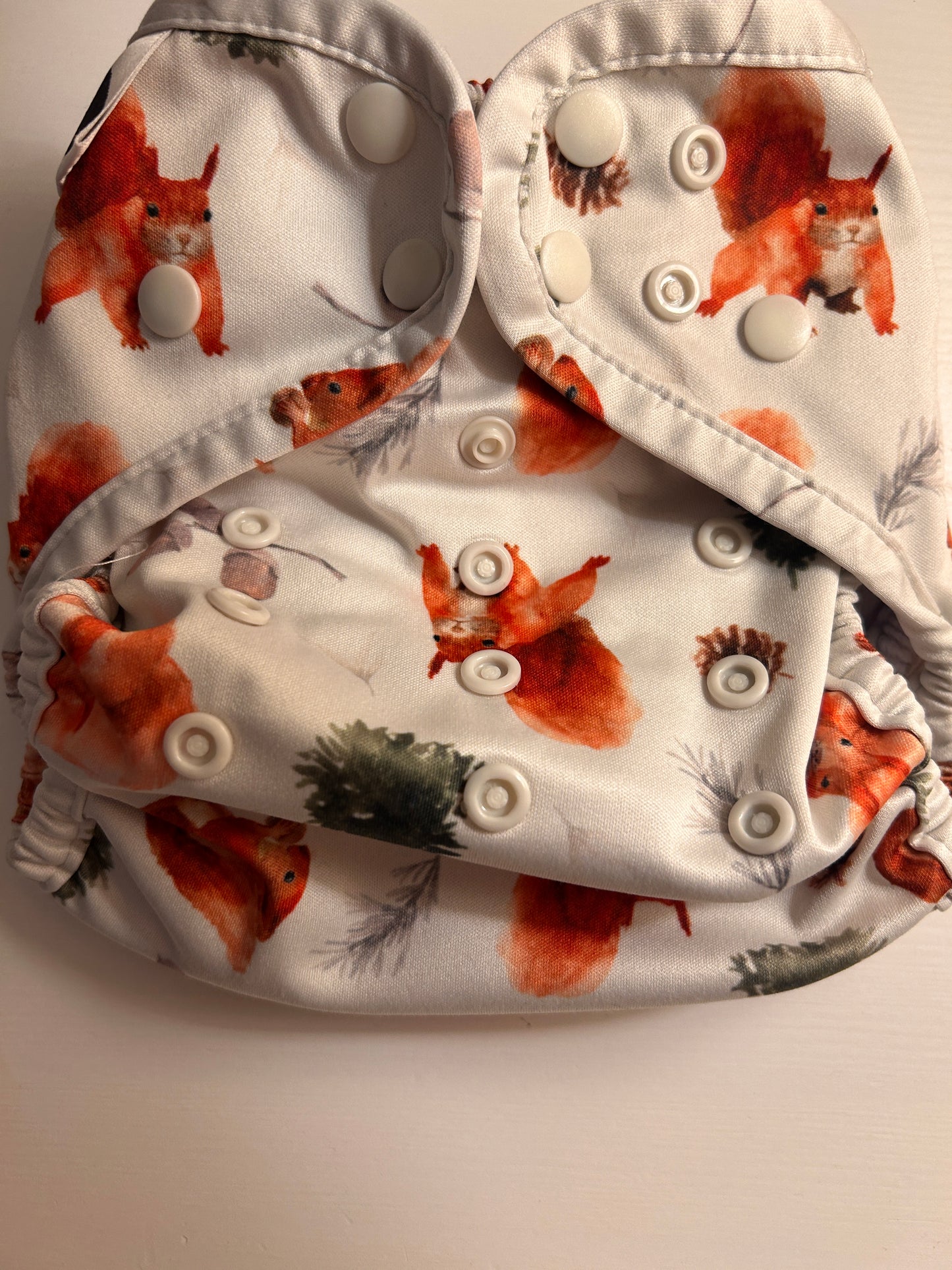 Bear Bott all in one Tencel nappy special edition squirrels (003)