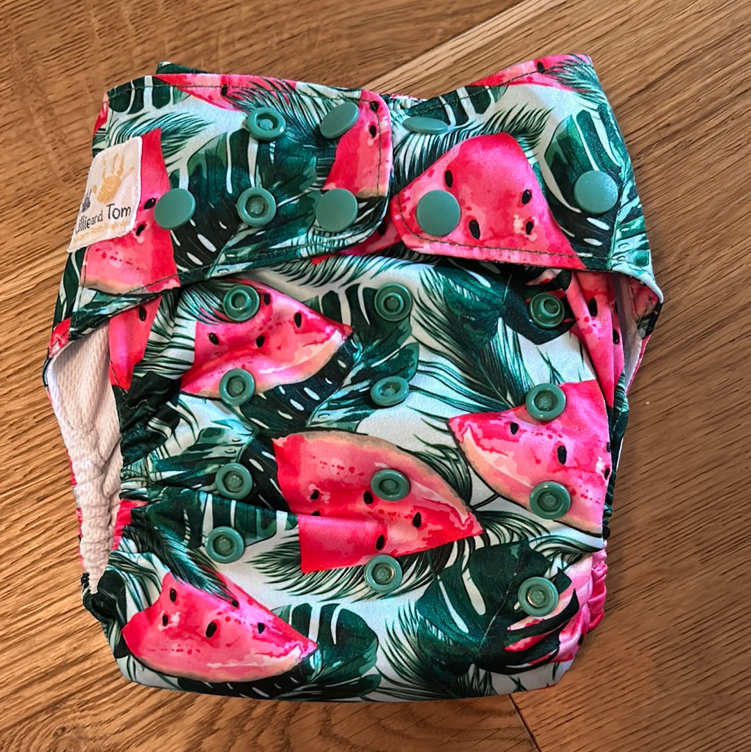 Lillie and Tom cloth pocket nappy (029; unbranded)