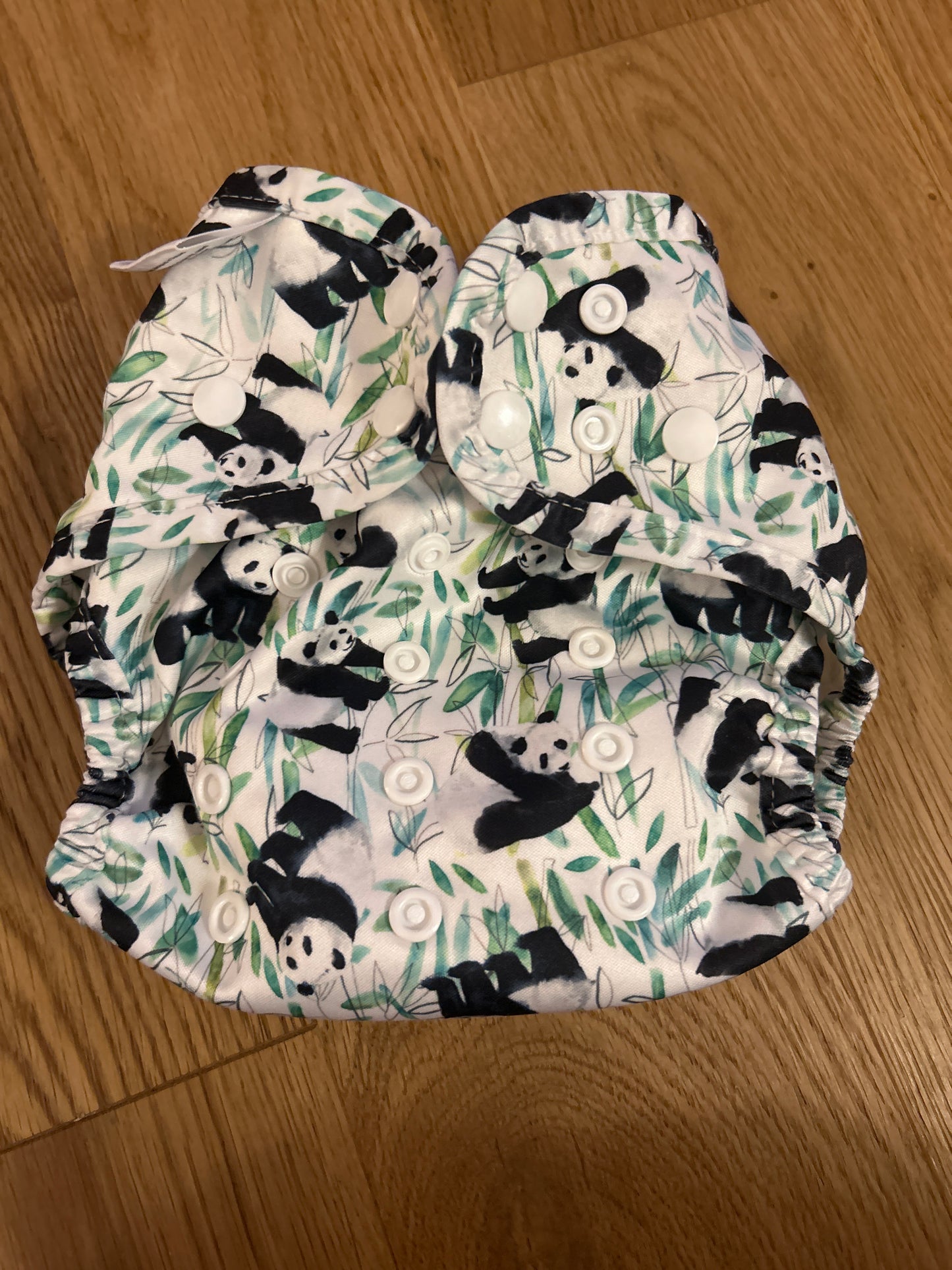Bear Bott all in one nappy (084)