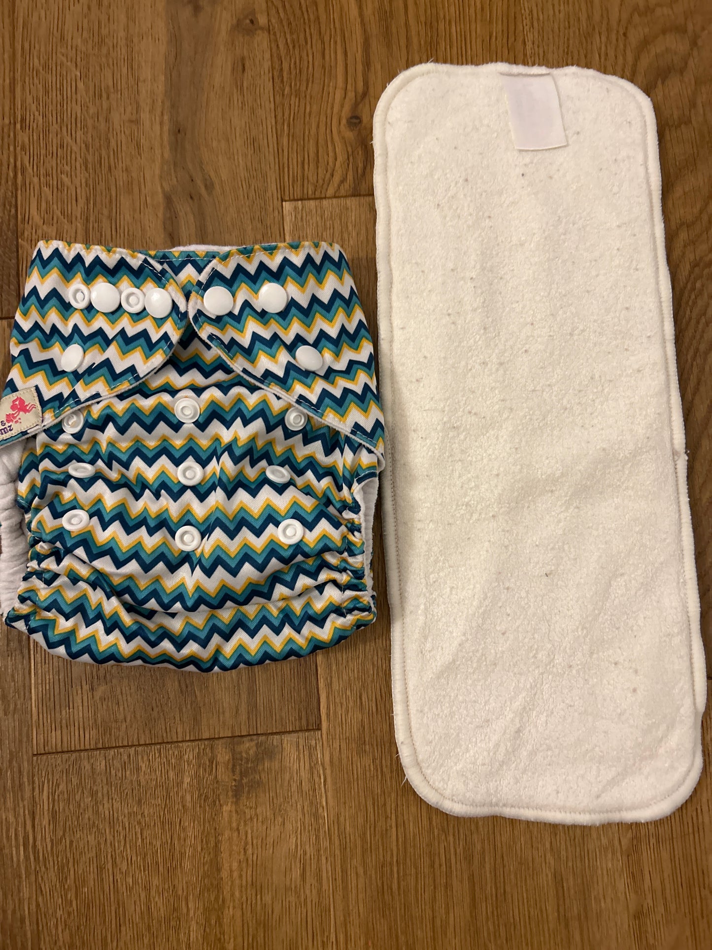 Littles and Bloomz pocket nappy (101)