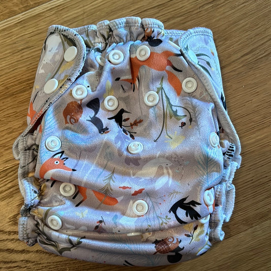 Apple Cheeks pocket nappy (041)