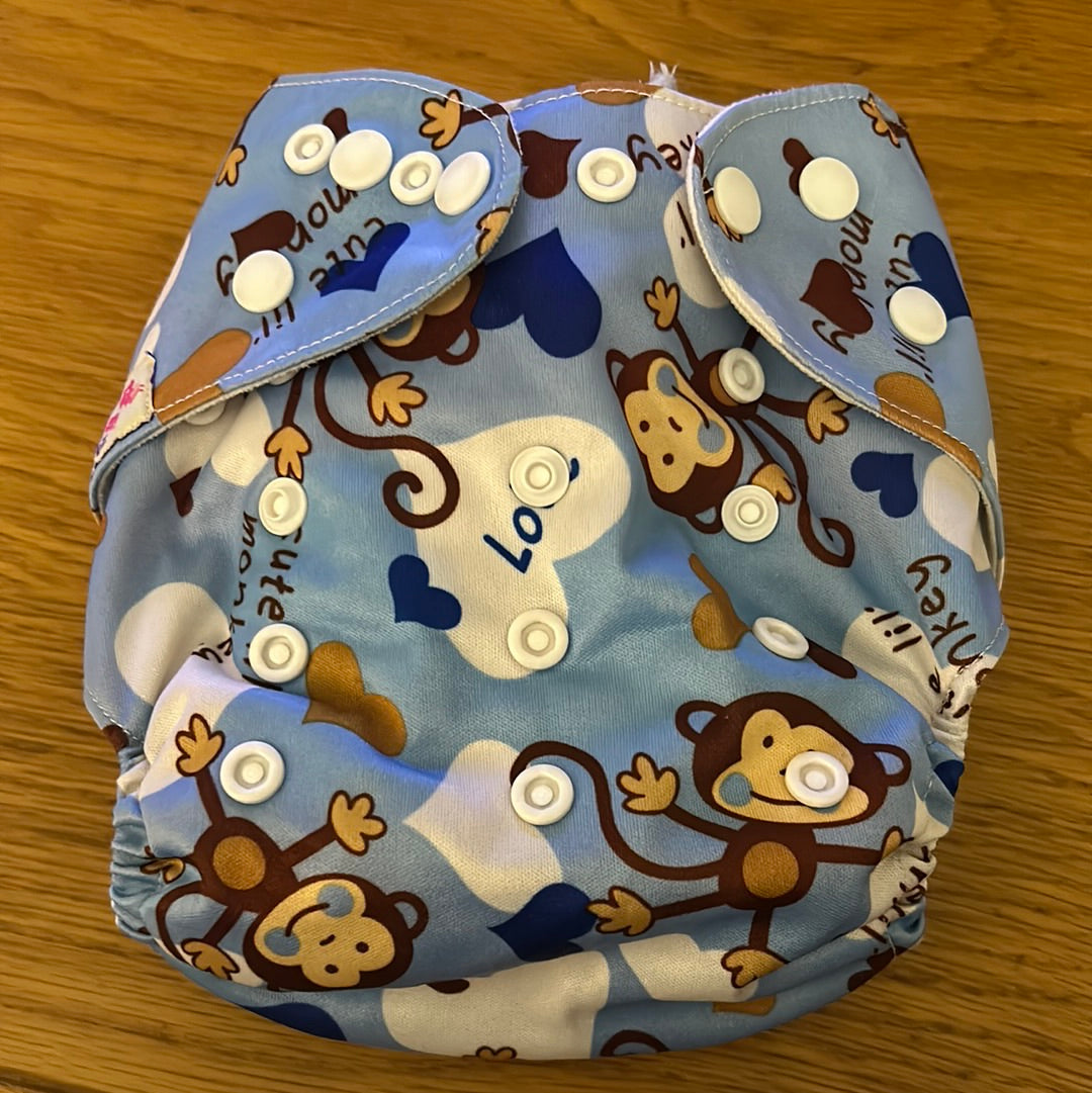 Littles and Bloomz Pocket nappy (042)