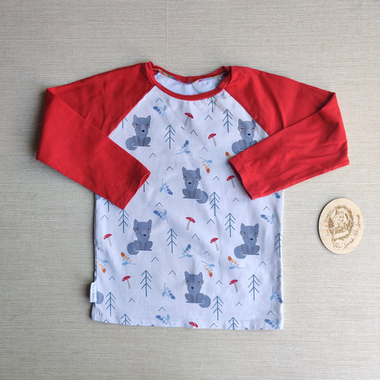 Age 6 long sleeve raglan t shirt GUC. Fox & Bobbin Preloved cloth friendly clothing