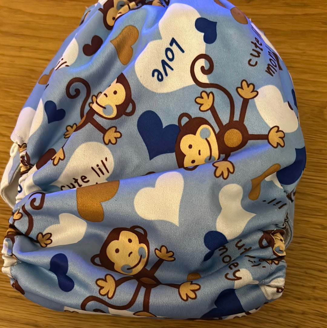 Littles and Bloomz Pocket nappy (042)