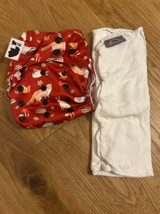 Bear Bott - All In Two nappy (028)