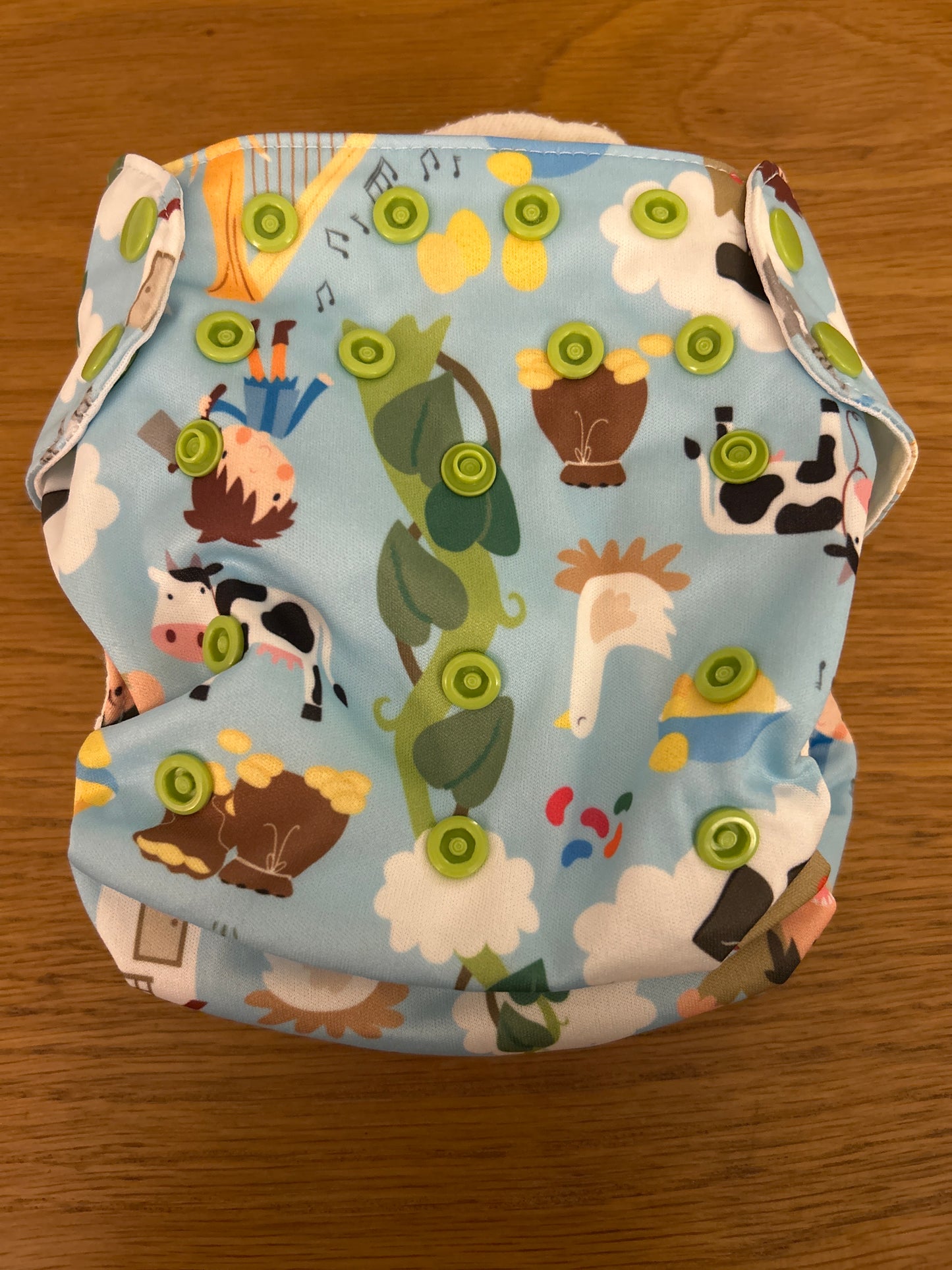 Blueberry - All In One nappy Jack and the Beanstalk (060)