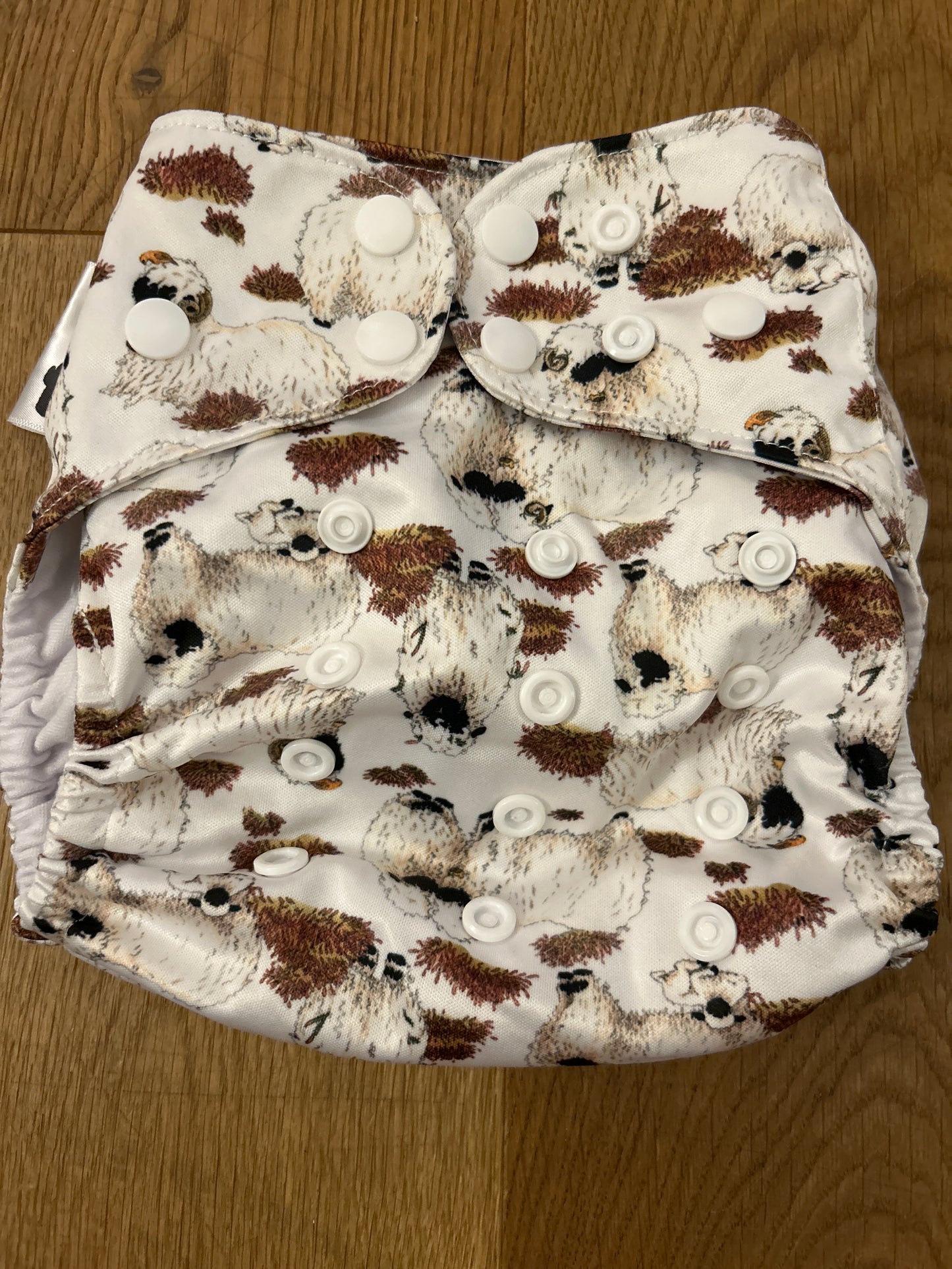 Bear Bott all in two nappy (100)