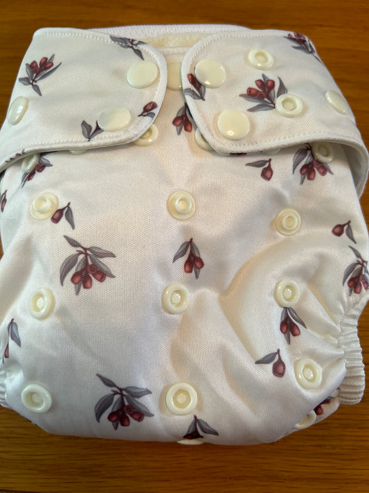 Cloth club all in two nappy and booster, brand new 059; unbranded)