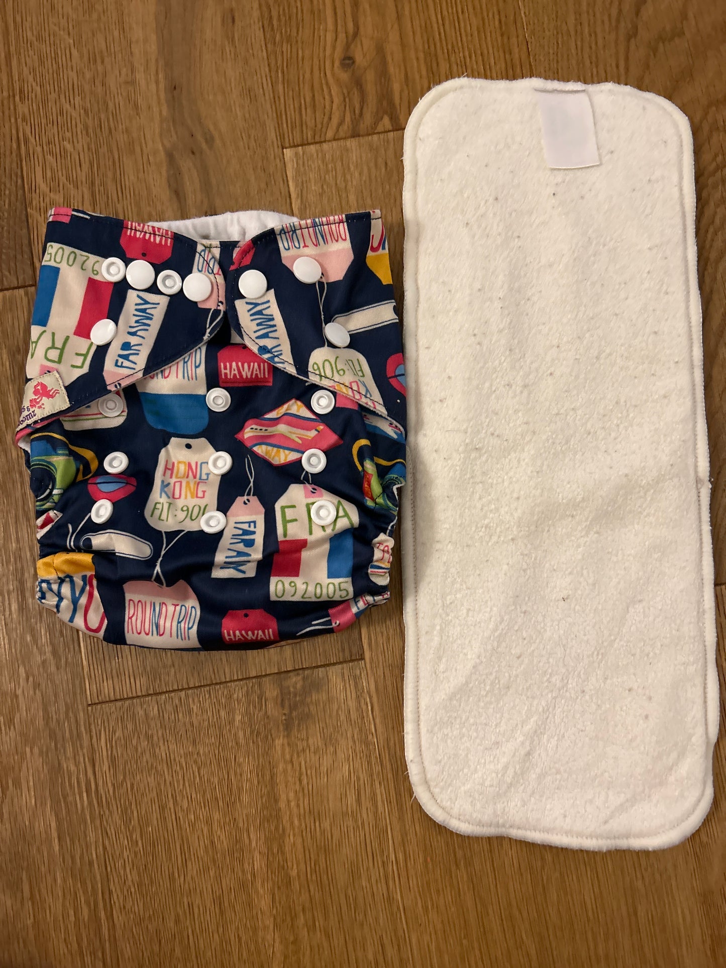 Littles and Bloomz pocket nappy (101)