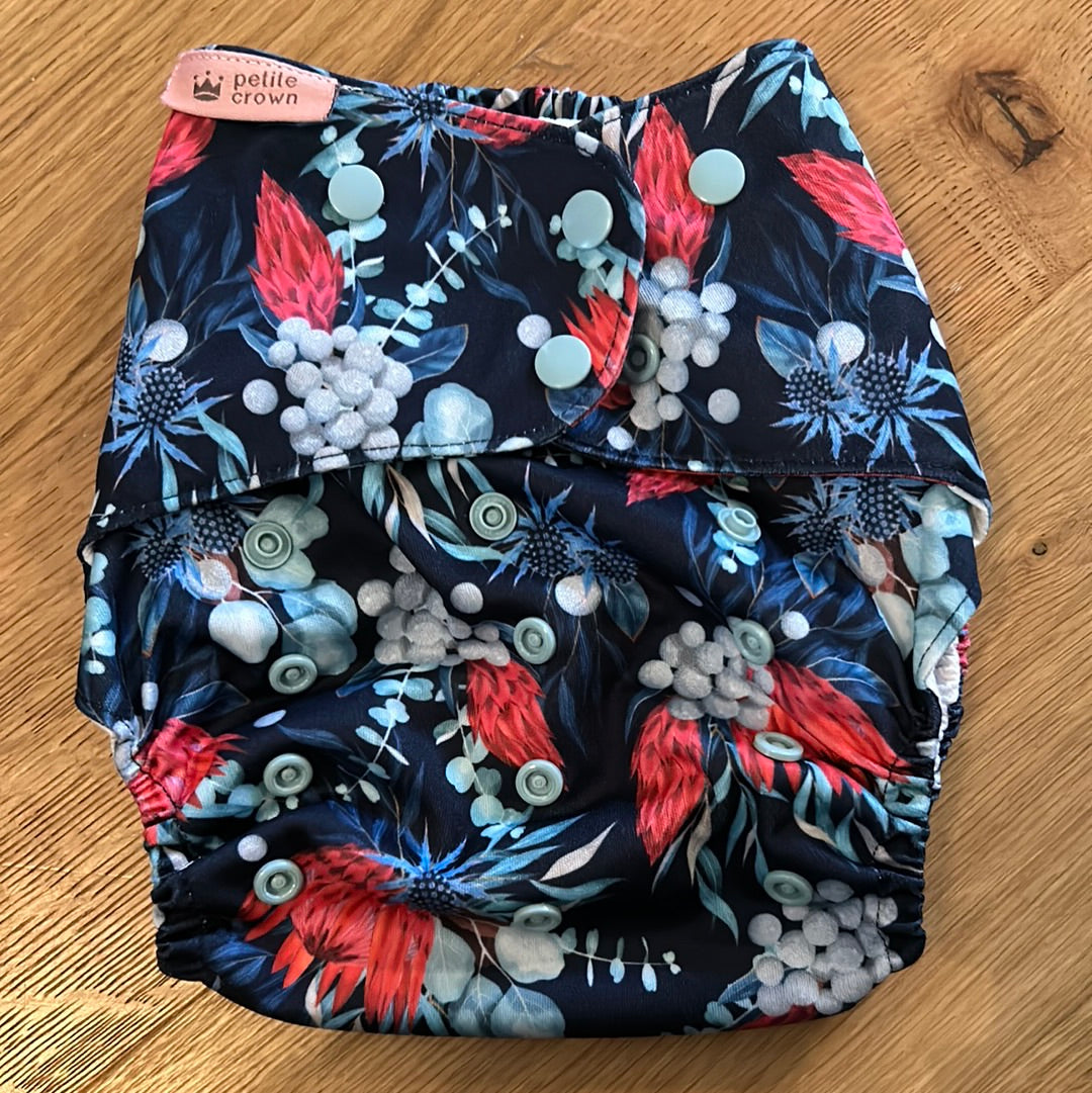 Petite Crown Swim Plus / Pocket 20-55lbs (034)