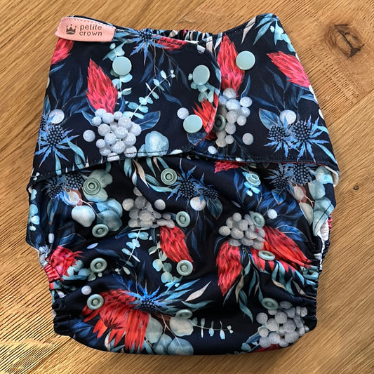 Petite Crown Swim Plus / Pocket 20-55lbs (034)