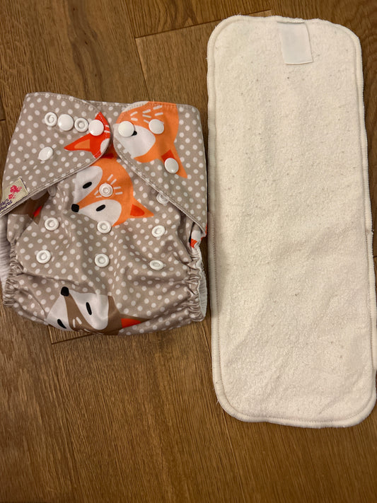 Littles and Bloomz pocket nappy (101)