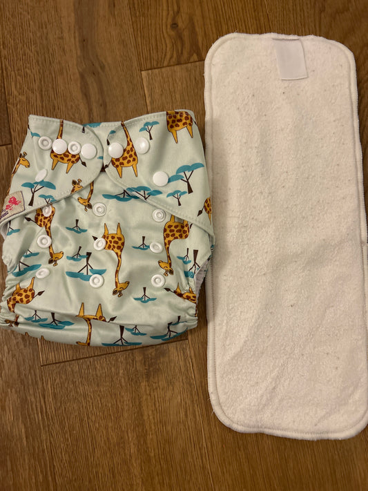 Littles and Bloomz pocket nappy (101)
