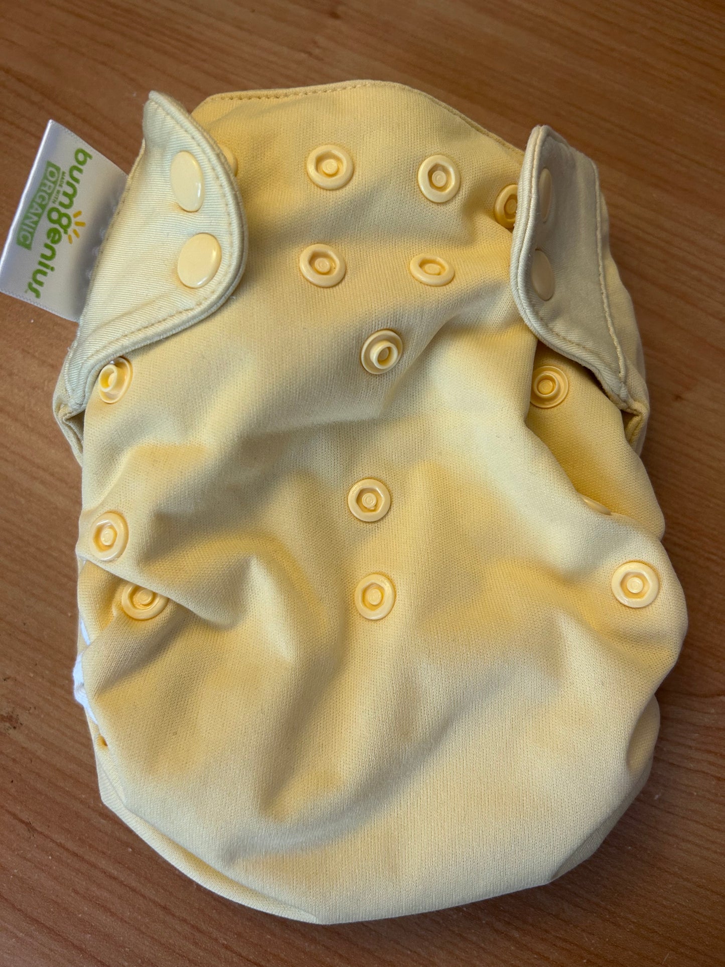 BumGenius- all in one Nappy (003)