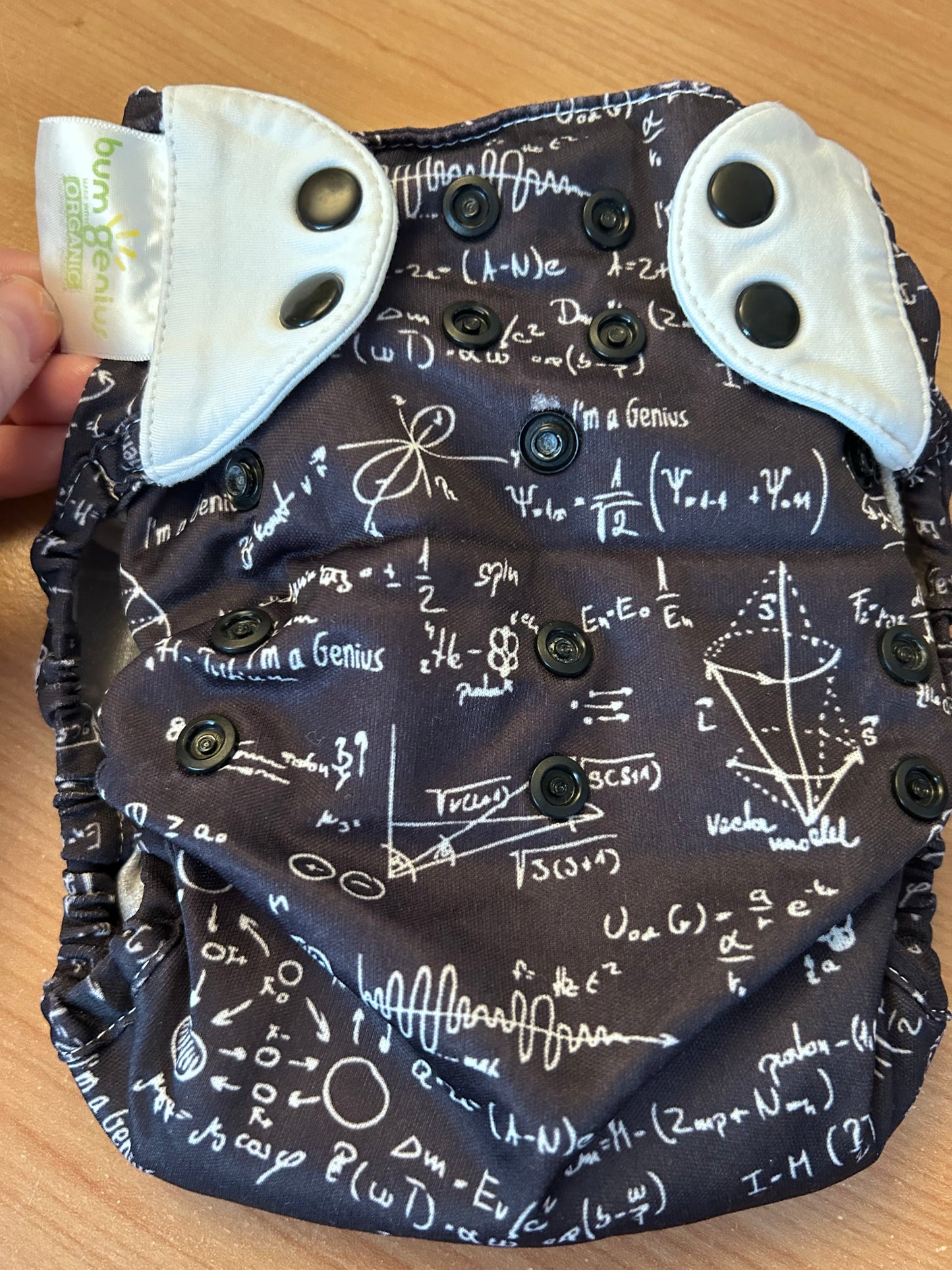 BumGenius- all in one Nappy (003)