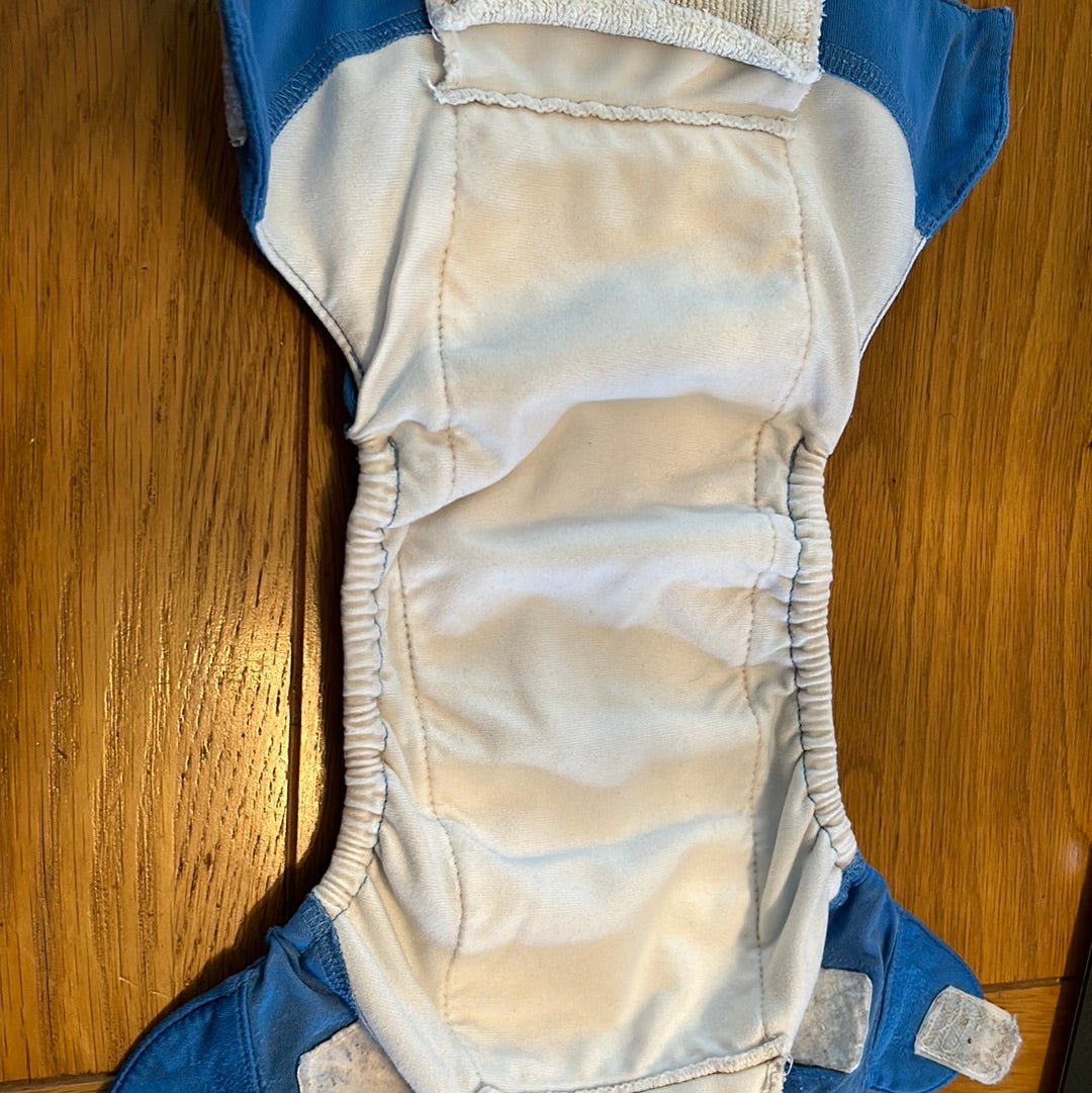 Bumgenius Freetime - All In One nappy blue (050)