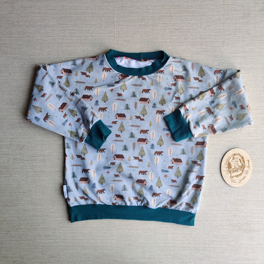 Age 6 French Terry sweater EUC. Fox & Bobbin Preloved cloth friendly clothing