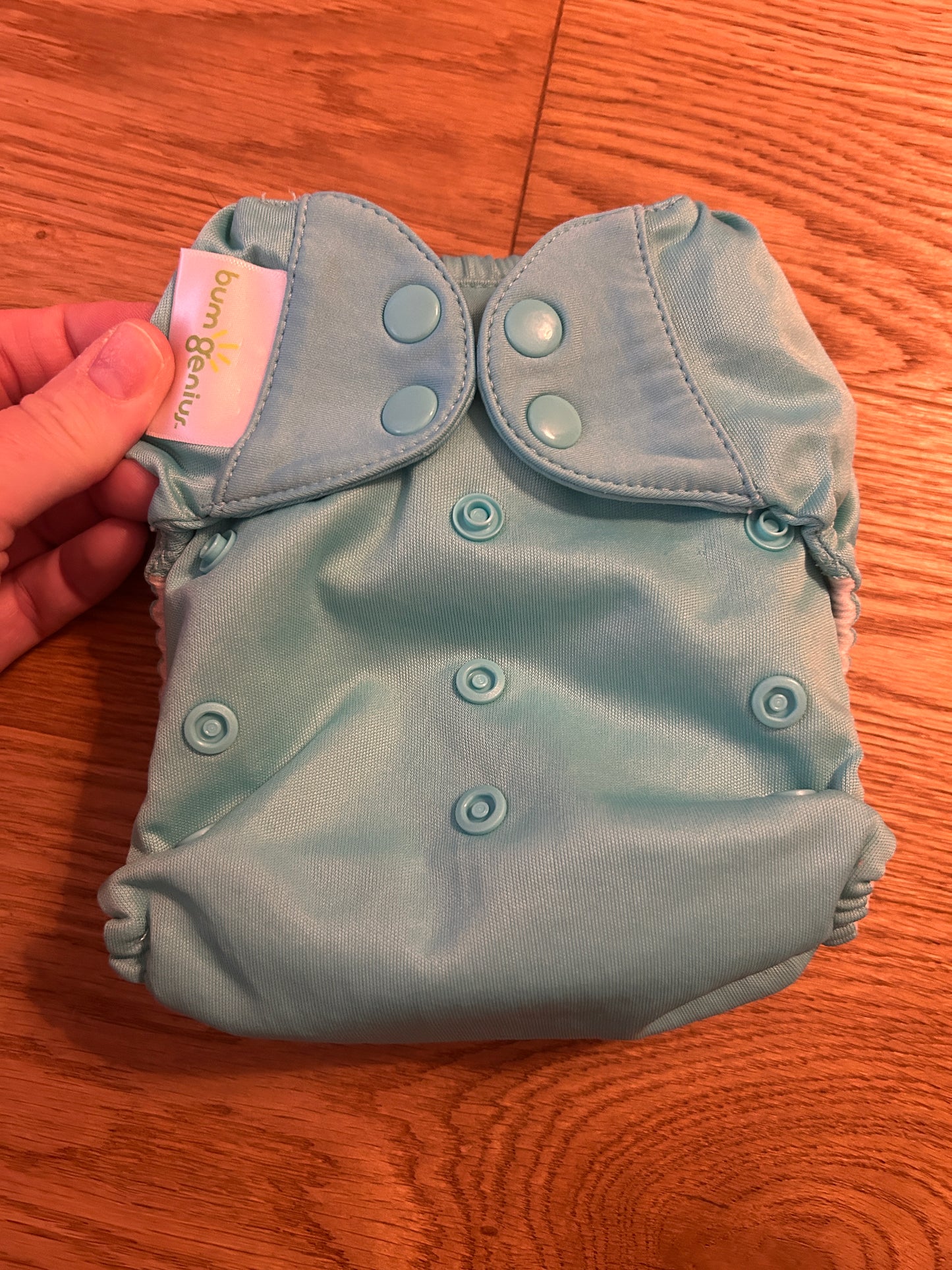 BumGenius- all in one Nappy (003)