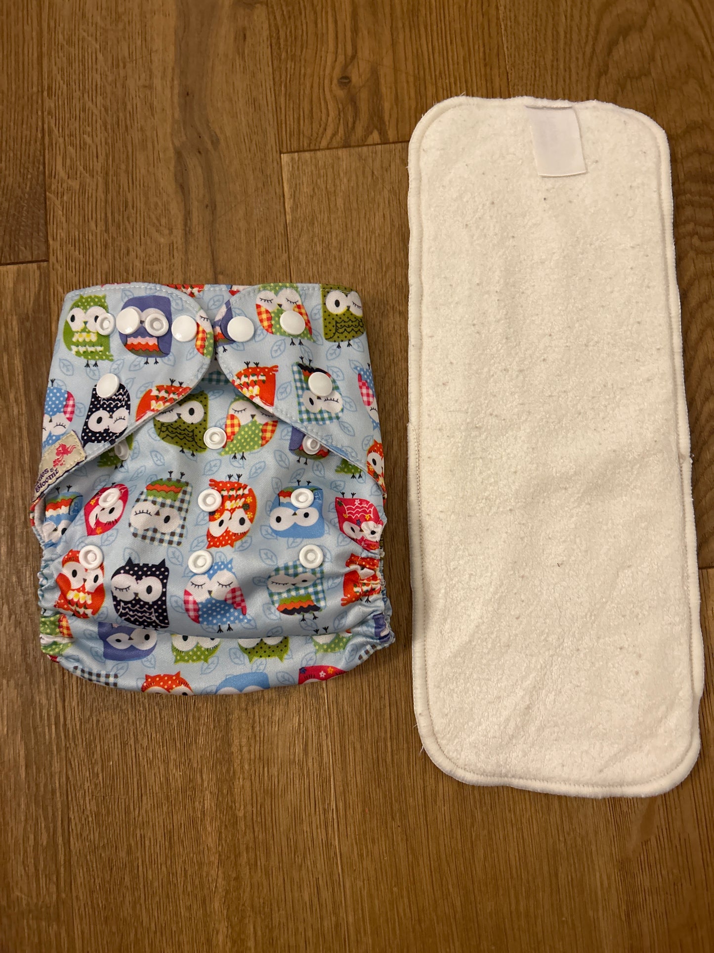 Littles and Bloomz pocket nappy (101)