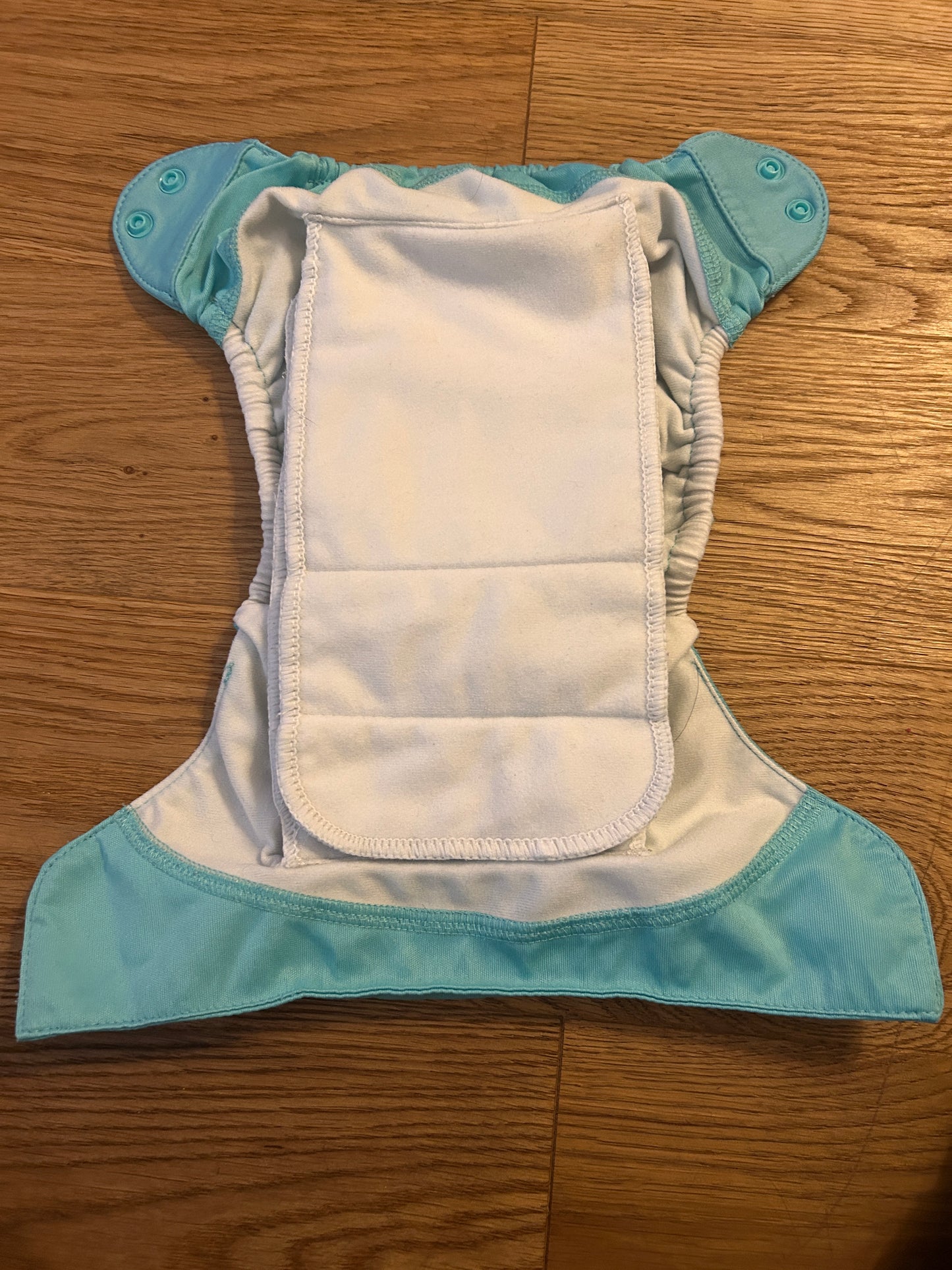 BumGenius- all in one Nappy (003)