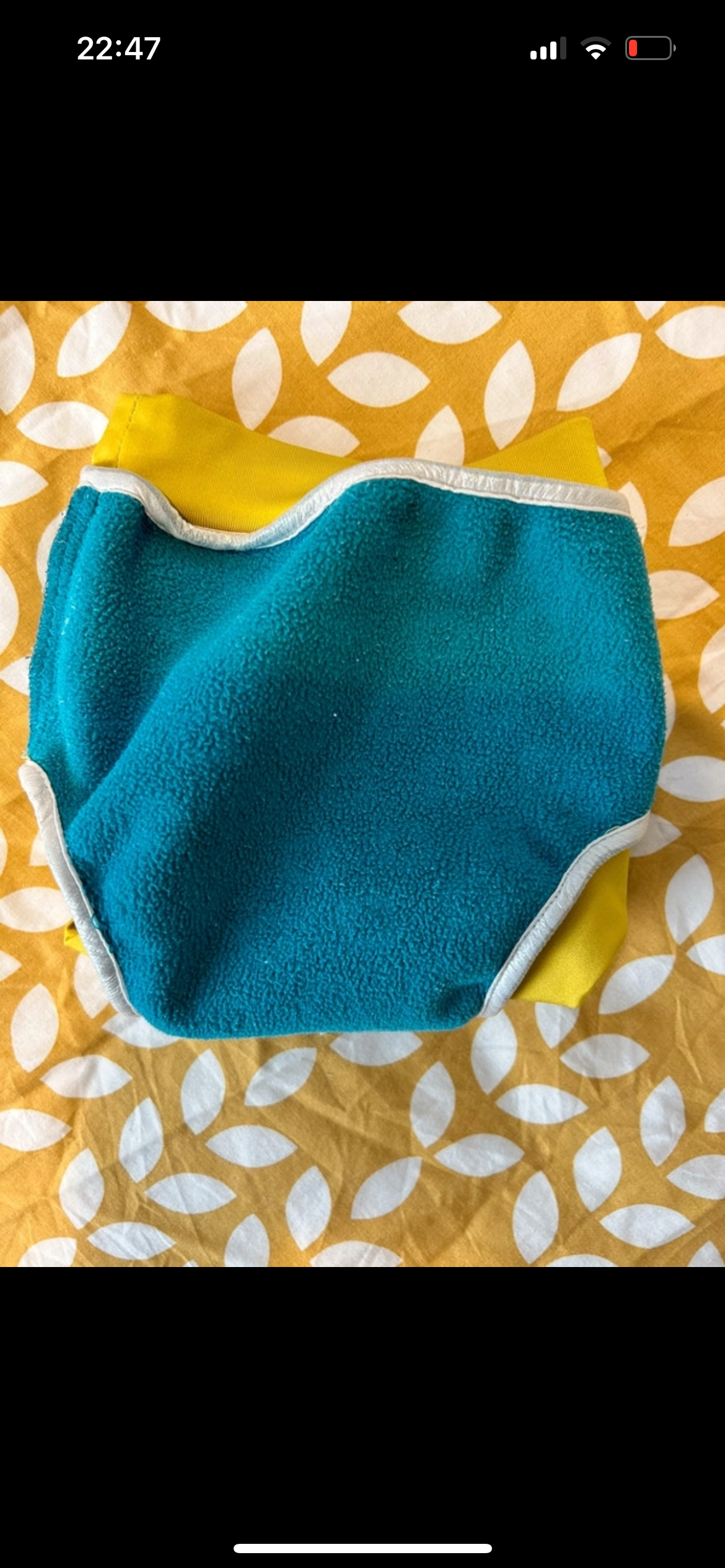 Close Pop In Swim nappy and Liner (003)