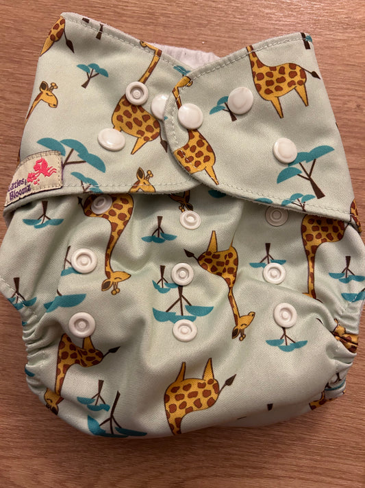 Littles & Bloomz Pocket nappy (078)