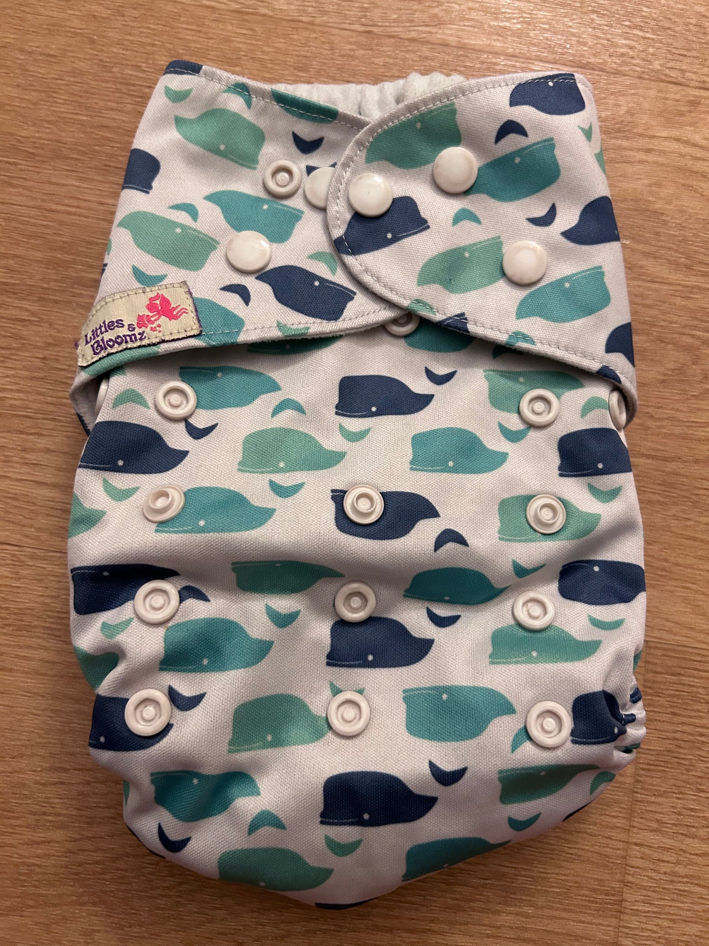 Littles & Bloomz Pocket nappy (078)