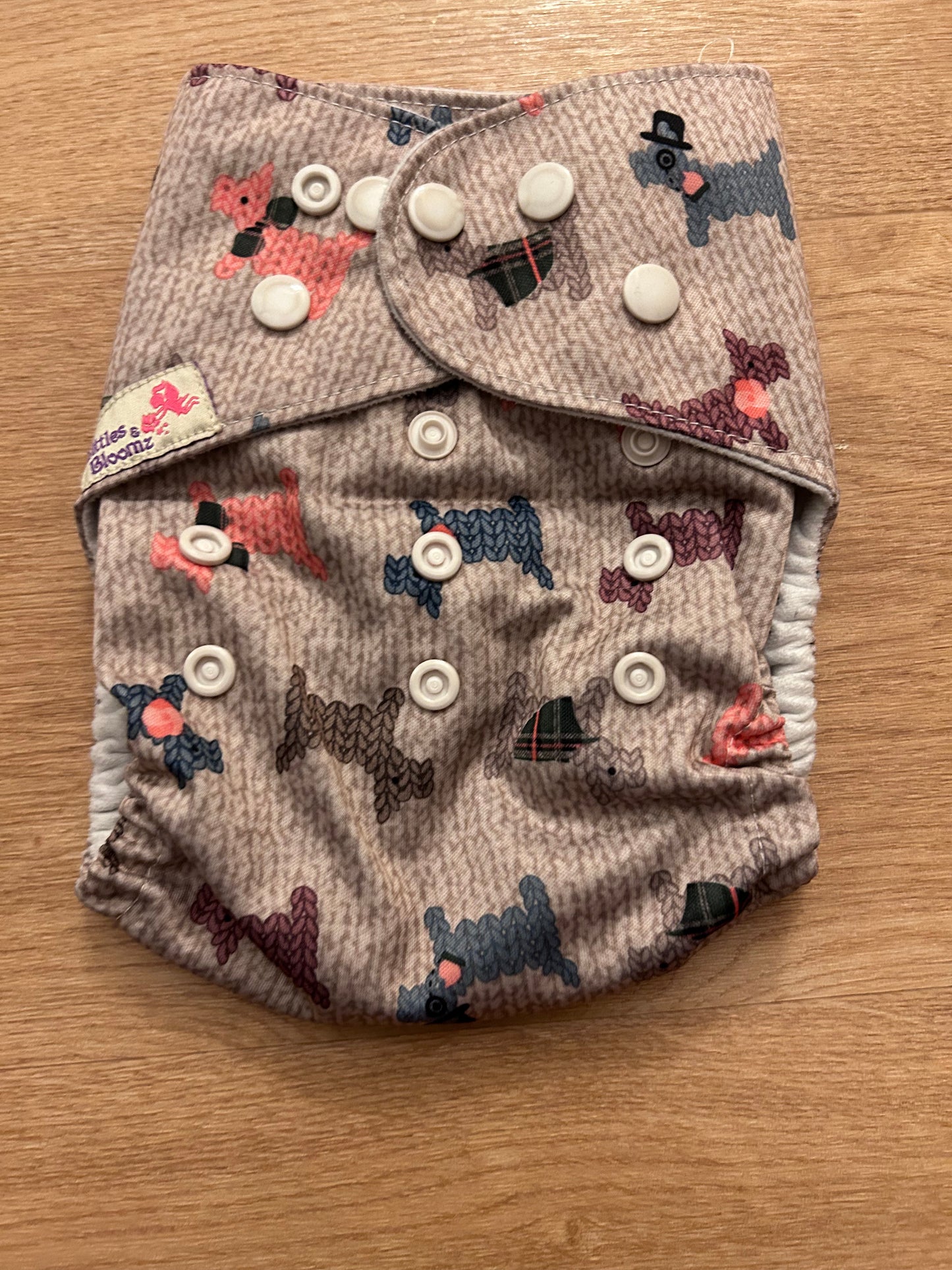 Littles & Bloomz Pocket nappy (078)