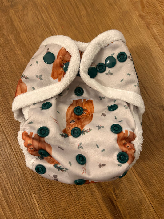 Bells Bumz all in two newborn nappy.  (#100)