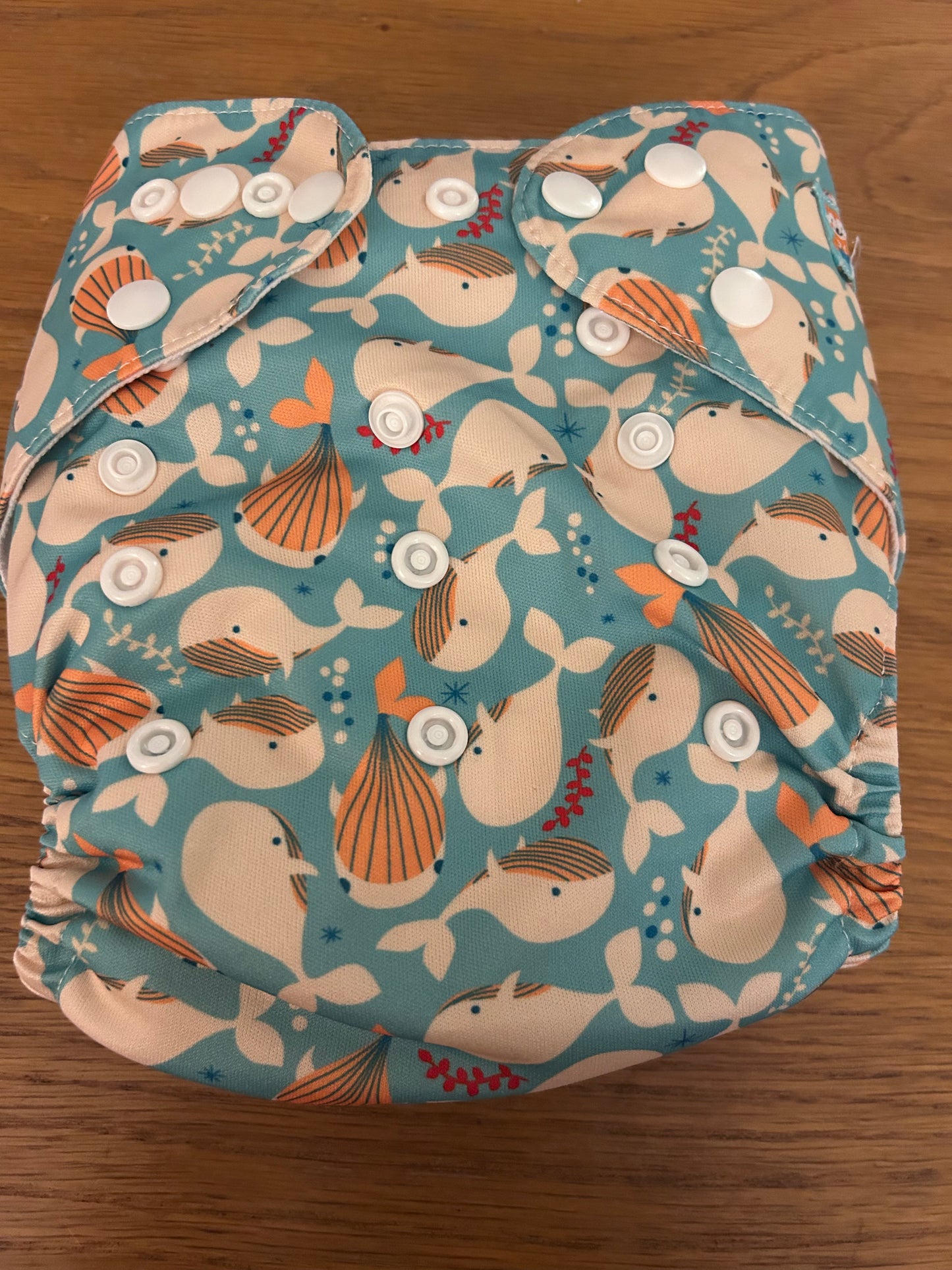 Alva baby pocket nappy with 2 inserts (003)