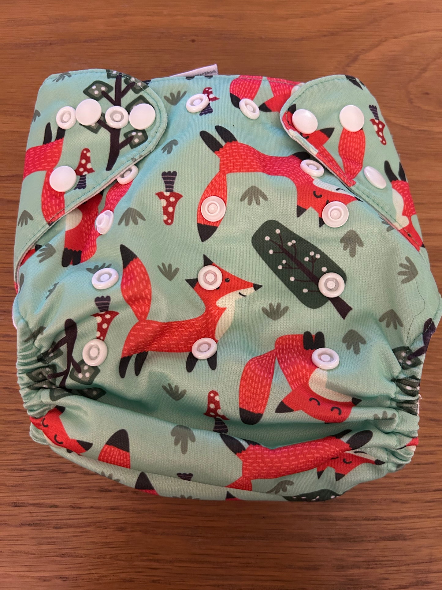 Alva baby pocket nappy with 2 inserts (003)