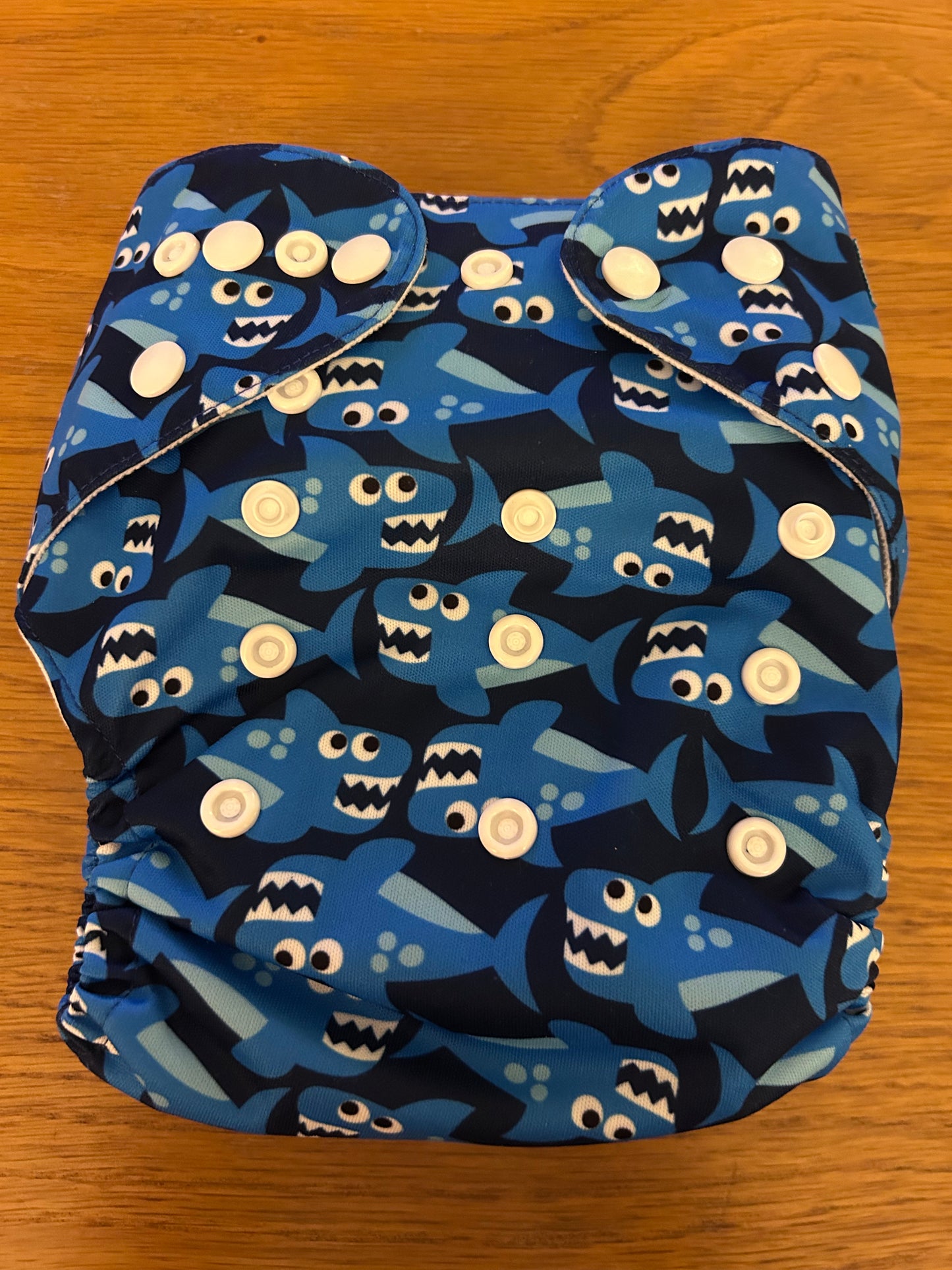 Alva baby pocket nappy with 2 inserts (003)