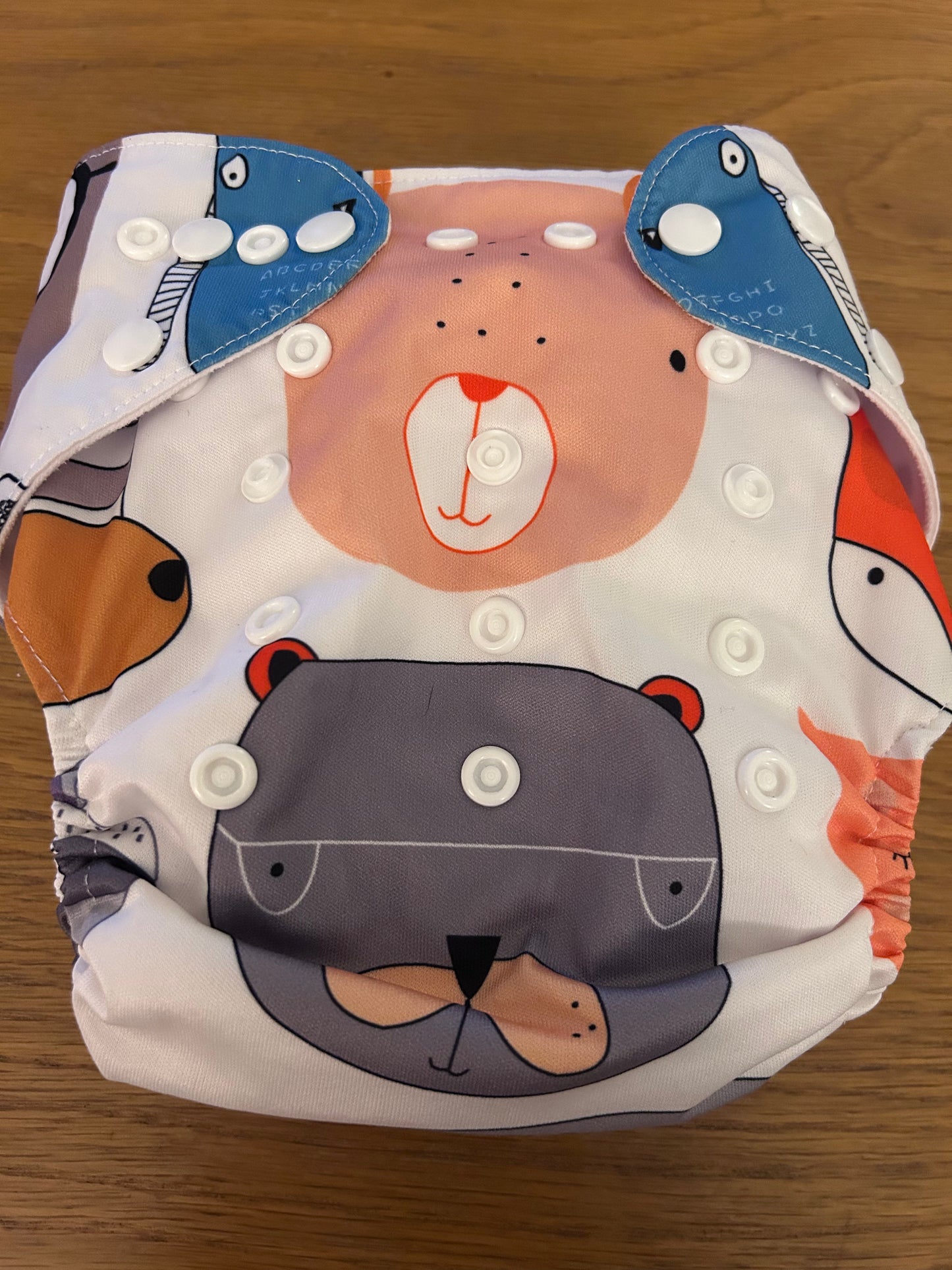 Alva baby pocket nappy with 2 inserts (003)