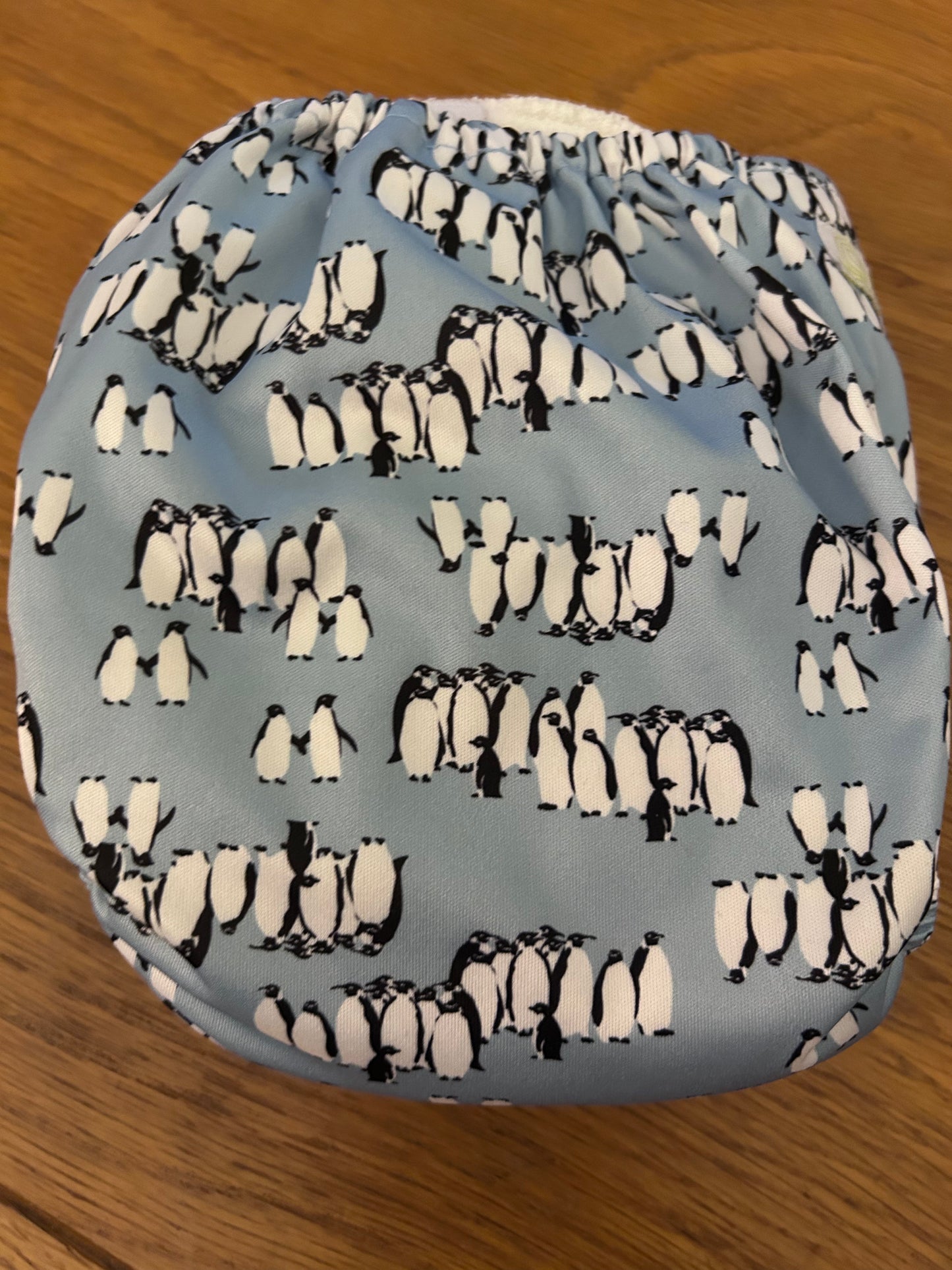 Baba and Boo pocket nappy with insert (003)