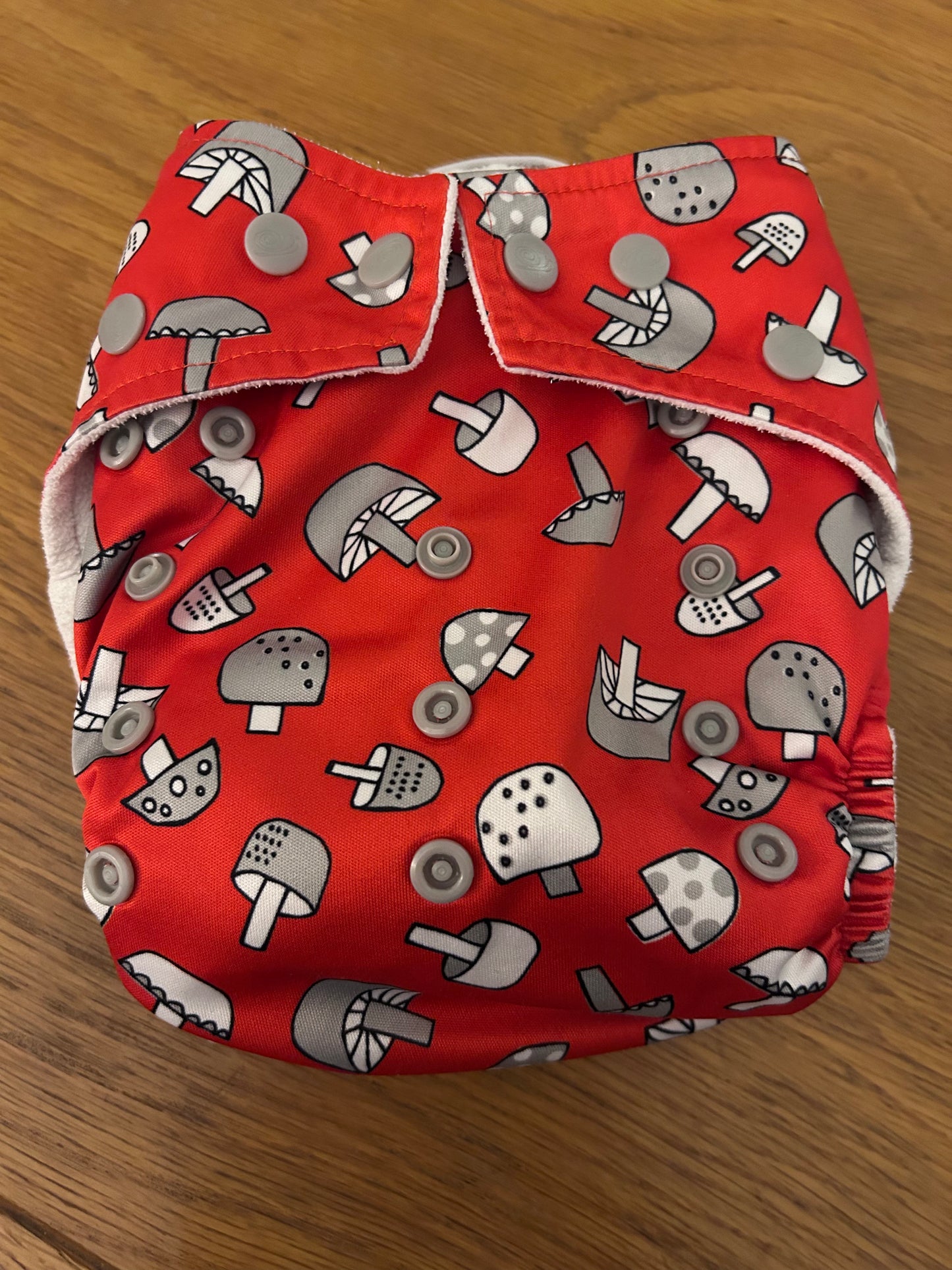 Baba and Boo pocket nappy with insert (003)