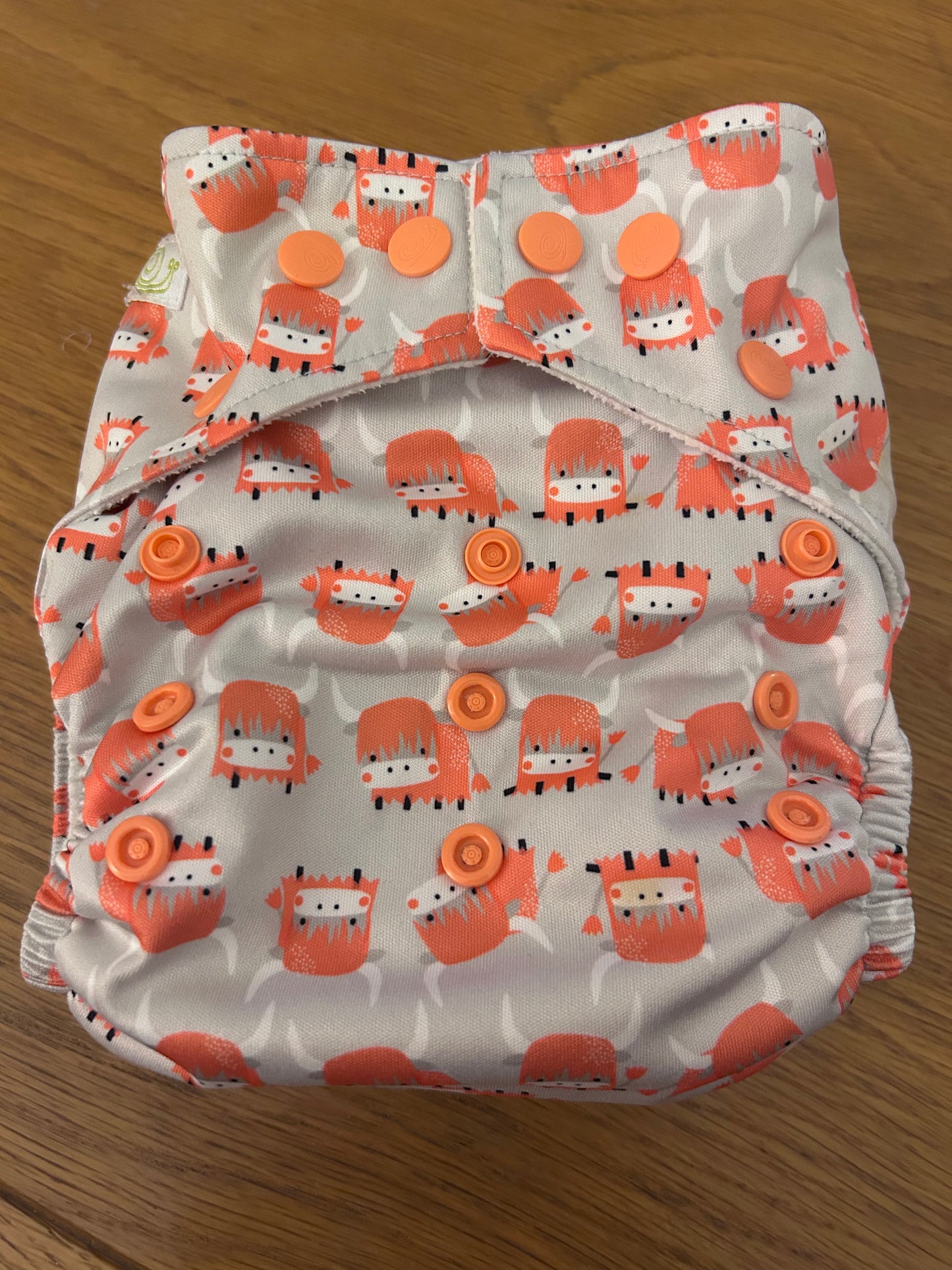 Baba and Boo pocket nappy with insert (003)