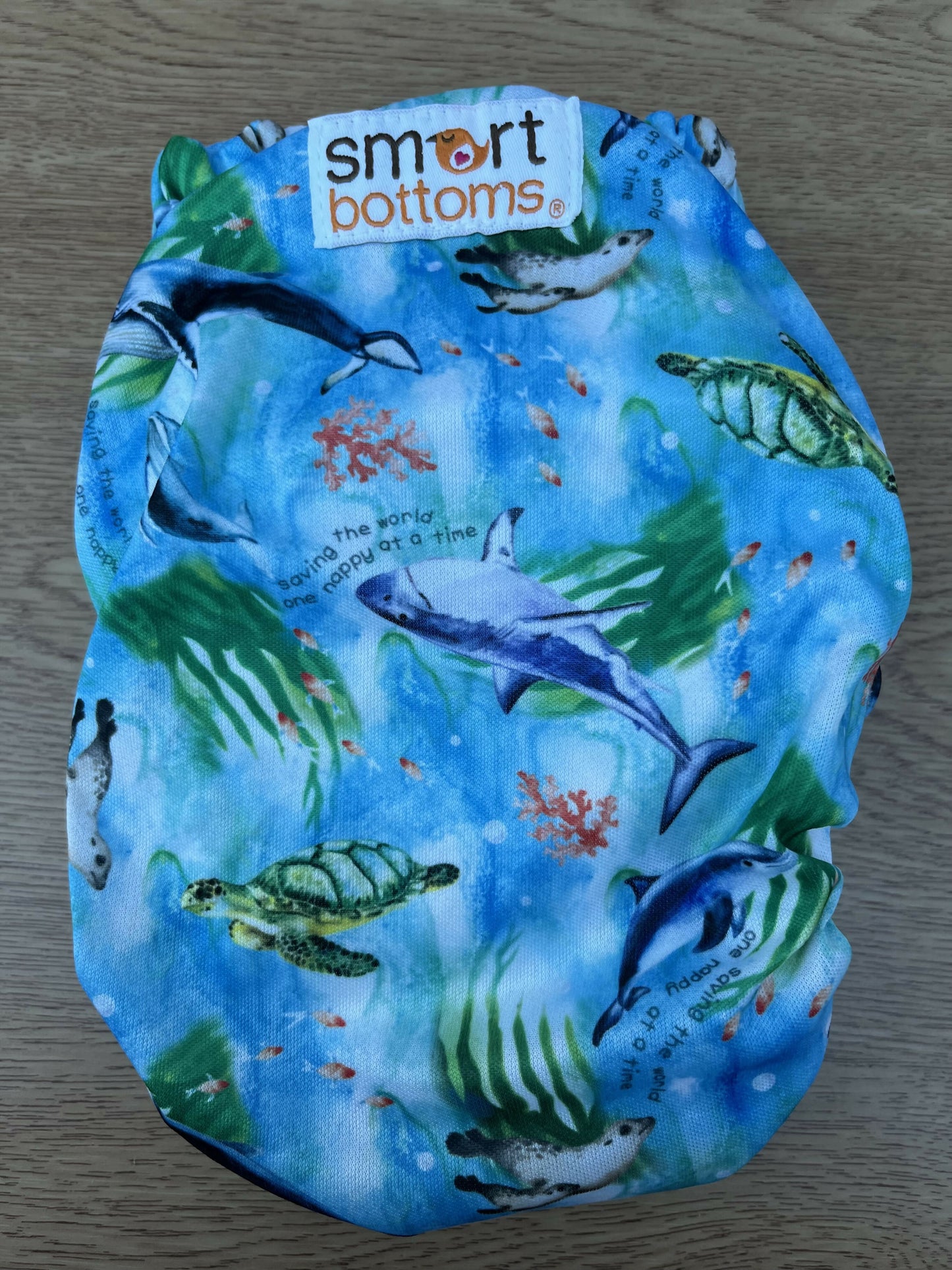 Smart Bottoms Dream 2.0 All-In-Two Nappy