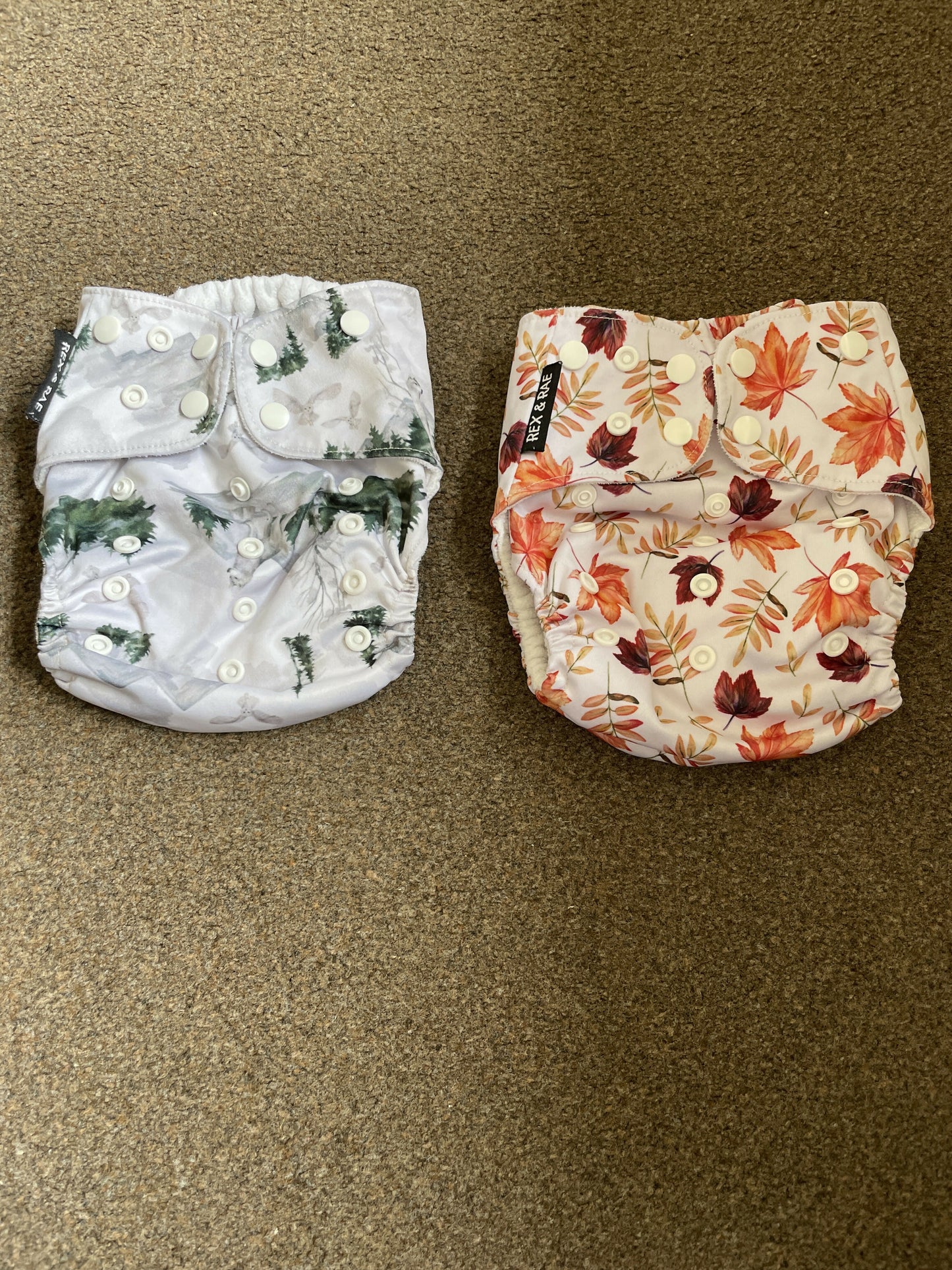 Rex and Rae pocket nappy shell