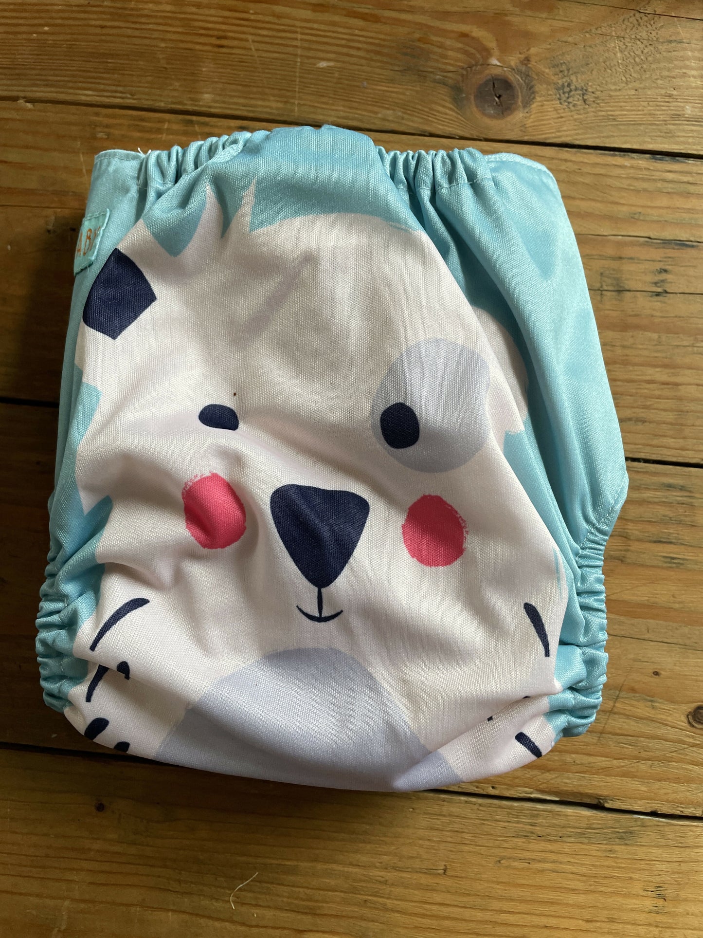 Alva baby pocket nappy with 2 insert