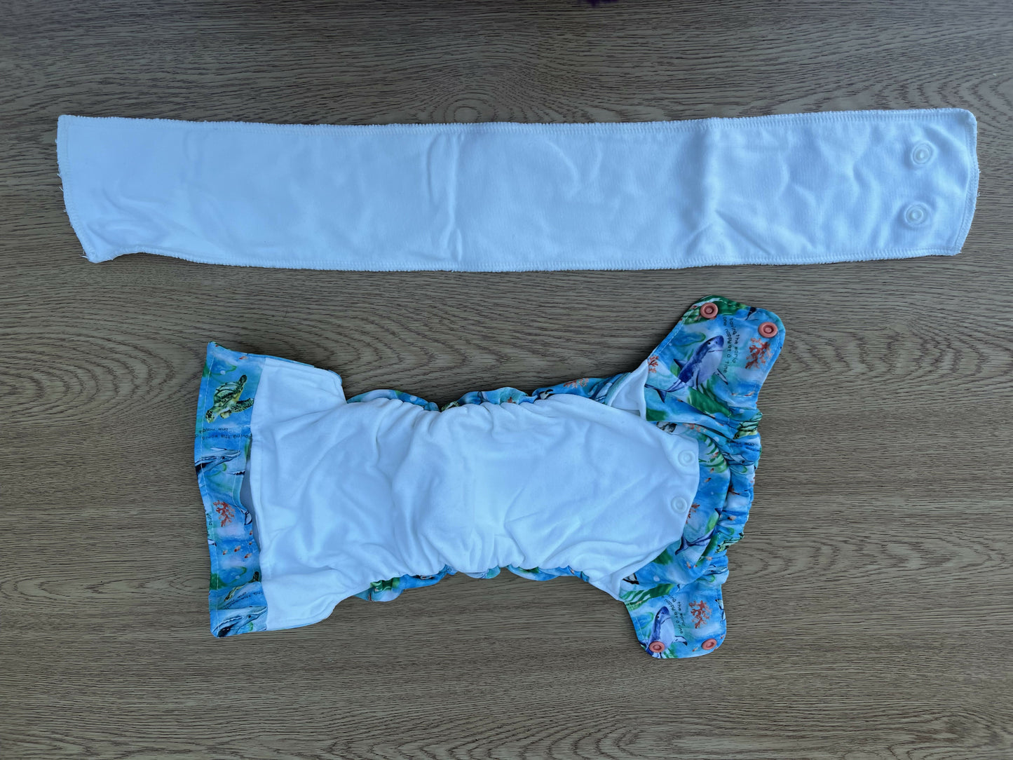 Smart Bottoms Dream 2.0 All-In-Two Nappy