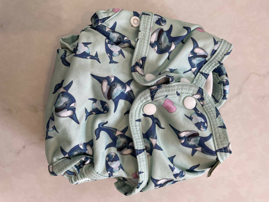 Little lamb sized pocket nappy (size2)